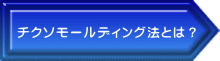 チクソモールディング法とは？